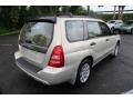 Champagne Gold Opalescent - Forester 2.5 XS Photo No. 6