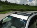 Classic Silver Metallic - RX 400h Hybrid Photo No. 46