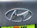 2013 Titanium Gray Metallic Hyundai Elantra GLS  photo #13