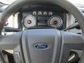 2010 Blue Flame Metallic Ford F150 XLT SuperCrew 4x4  photo #20