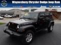 Black - Wrangler Unlimited Rubicon 4x4 Photo No. 1