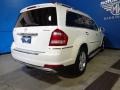 Arctic White - GL 450 4Matic Photo No. 26