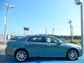 2009 Silver Moss Metallic Chevrolet Malibu LTZ Sedan  photo #6