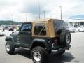 Shale Green Metallic - Wrangler Sahara 4x4 Photo No. 11