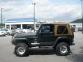 Shale Green Metallic - Wrangler Sahara 4x4 Photo No. 12