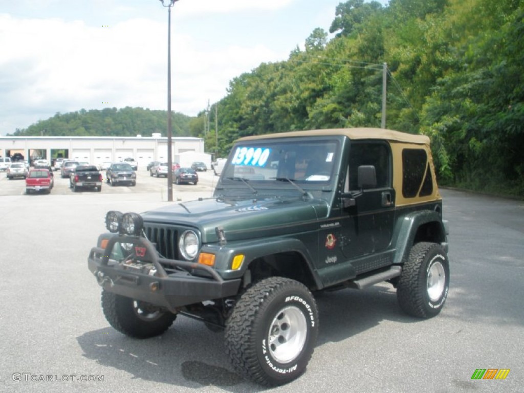 2002 Wrangler Sahara 4x4 - Shale Green Metallic / Camel Beige/Dark Green photo #13