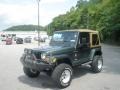 Shale Green Metallic - Wrangler Sahara 4x4 Photo No. 13