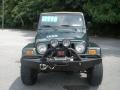 Shale Green Metallic - Wrangler Sahara 4x4 Photo No. 14