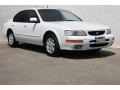 Arctic White Pearl - Maxima GLE Photo No. 1