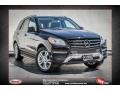 Black - ML 350 Photo No. 1