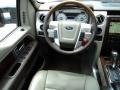 Medium Stone Leather/Sienna Brown Dashboard Photo for 2010 Ford F150 #84551170