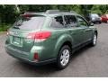 Cypress Green Pearl - Outback 2.5i Limited Wagon Photo No. 6
