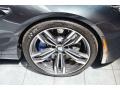 2014 BMW M6 Gran Coupe Wheel and Tire Photo