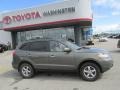 Natural Khaki Green - Santa Fe GLS Photo No. 2