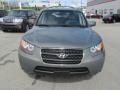 Natural Khaki Green - Santa Fe GLS Photo No. 4