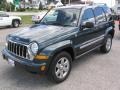 2005 Deep Beryl Green Pearl Jeep Liberty Limited 4x4  photo #25