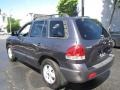 Steel Blue - Santa Fe GLS 4WD Photo No. 5