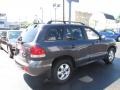 Steel Blue - Santa Fe GLS 4WD Photo No. 6