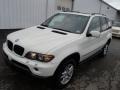 Alpine White - X5 3.0i Photo No. 2