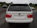 Alpine White - X5 3.0i Photo No. 5