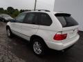 Alpine White - X5 3.0i Photo No. 6