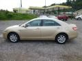 Sandy Beach Metallic - Camry LE Photo No. 4