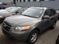 Natural Khaki Green - Santa Fe GLS 4WD Photo No. 3