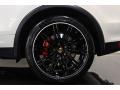 2011 Porsche Cayenne Turbo Wheel and Tire Photo