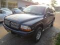 2003 Patriot Blue Pearlcoat Dodge Durango SXT 4x4  photo #3