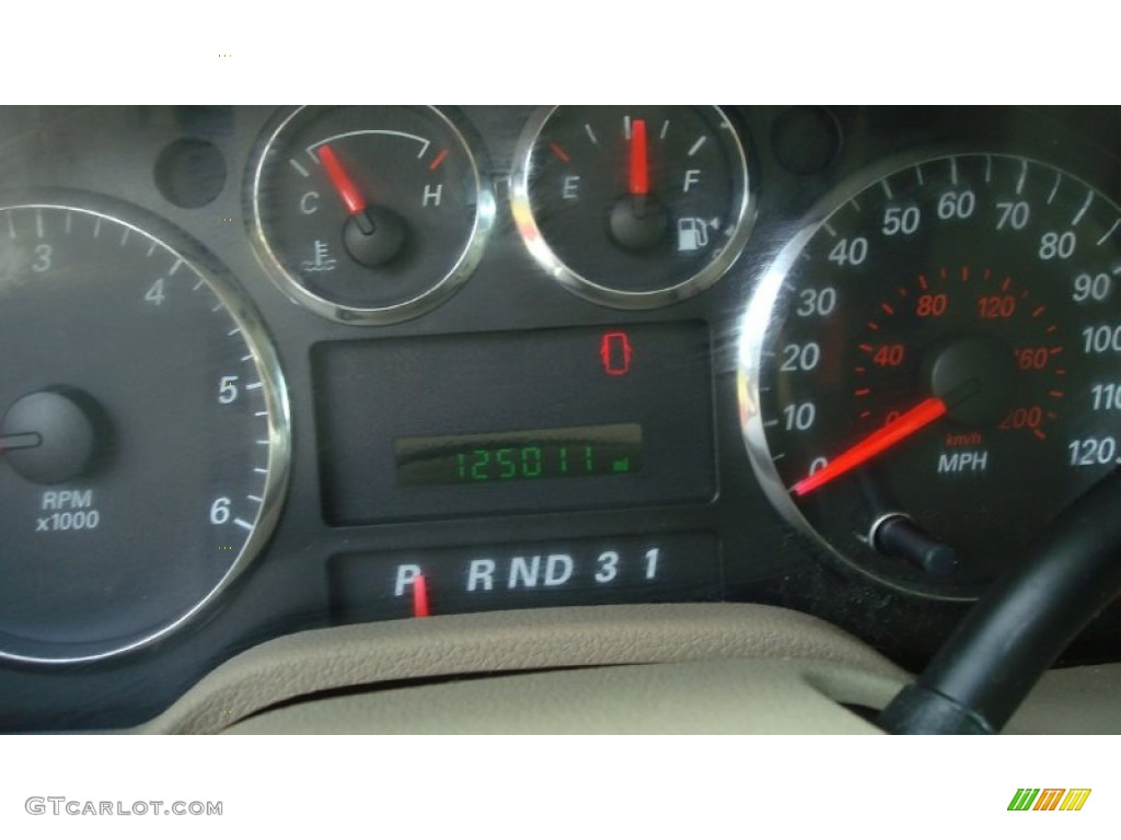 2005 Freestar SEL - Arizona Beige Metallic / Pebble Beige photo #11