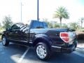 2011 Tuxedo Black Metallic Ford F150 Platinum SuperCrew  photo #5