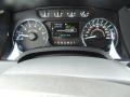 Steel Gray Gauges Photo for 2012 Ford F150 #84611806