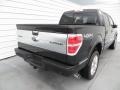 Tuxedo Black Metallic - F150 Platinum SuperCrew 4x4 Photo No. 4