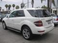Arctic White - ML 350 Photo No. 4