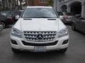 Arctic White - ML 350 Photo No. 6