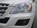 Arctic White - ML 350 Photo No. 23