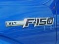 2010 Blue Flame Metallic Ford F150 XLT SuperCrew  photo #10