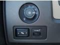 Medium Stone Controls Photo for 2010 Ford F150 #84619475