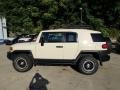 Sandstorm 2010 Toyota FJ Cruiser 4WD