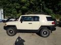 2010 Sandstorm Toyota FJ Cruiser 4WD #84617654