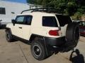 2010 Sandstorm Toyota FJ Cruiser 4WD  photo #8