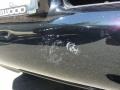 Black Onyx - GX 460 Photo No. 38