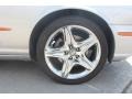 Platinum Silver Metallic - XJ Vanden Plas Photo No. 30