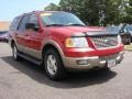 2003 Laser Red Tinted Metallic Ford Expedition Eddie Bauer 4x4  photo #10