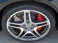 2014 Mercedes-Benz CLS 63 AMG Wheel and Tire Photo