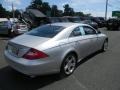 Iridium Silver Metallic - CLS 500 Photo No. 5