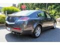 Grigio Gray Metallic - TL 3.5 Photo No. 4