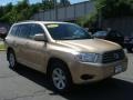 Sandy Beach Metallic - Highlander V6 4WD Photo No. 3