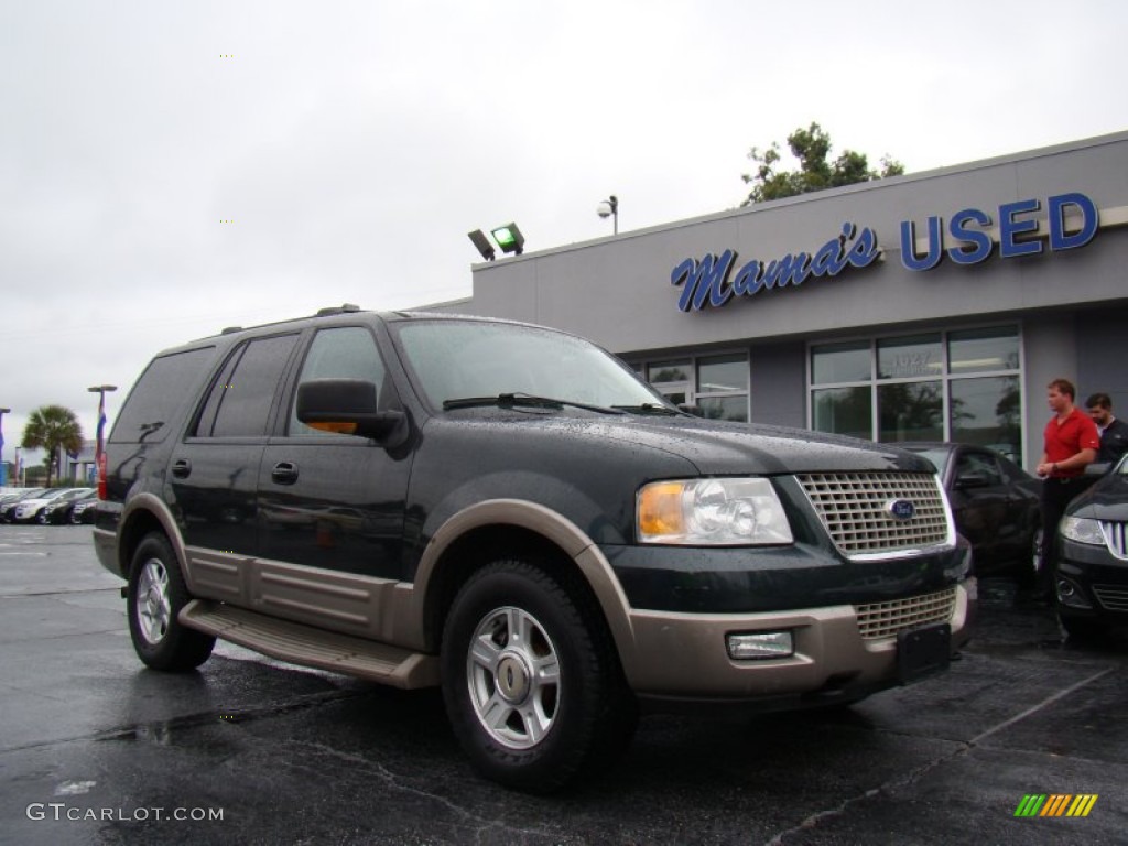 2003 Expedition Eddie Bauer 4x4 - Aspen Green Metallic / Medium Parchment photo #2