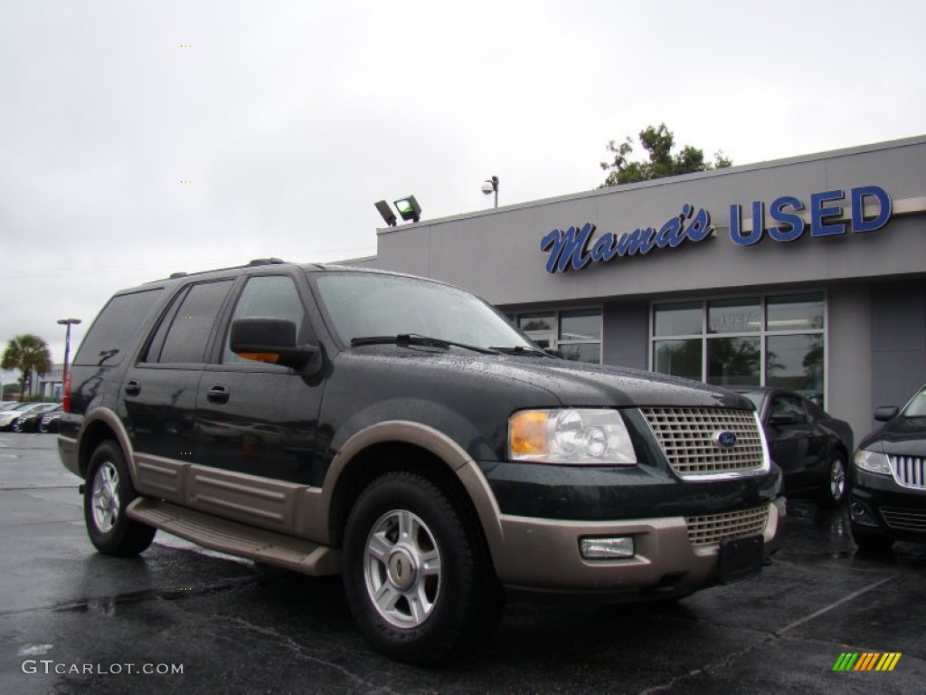 2003 Expedition Eddie Bauer 4x4 - Aspen Green Metallic / Medium Parchment photo #3